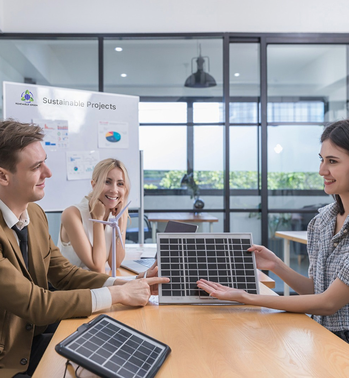 Partners collaborating